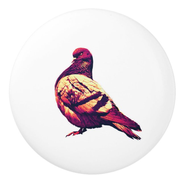 Angry pigeon - humourous bird pic ceramic knob (Front)