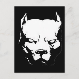Angry Pitbull Dog Postcard