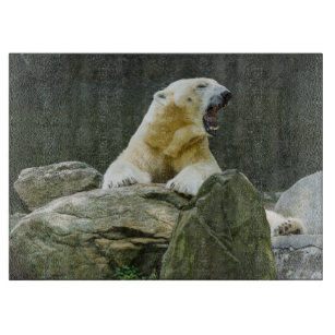 Angry Polar Bear Kitchen Dining Supplies Zazzle Co Uk