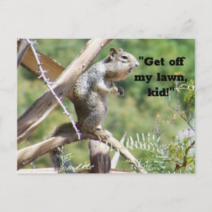 Angry Squirrel Postcard