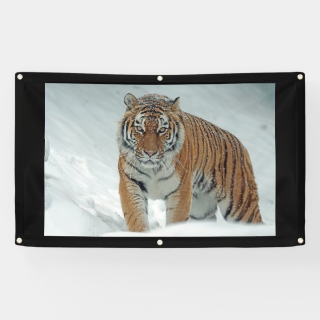 ANGRY TIGER Banner (Horizontal)