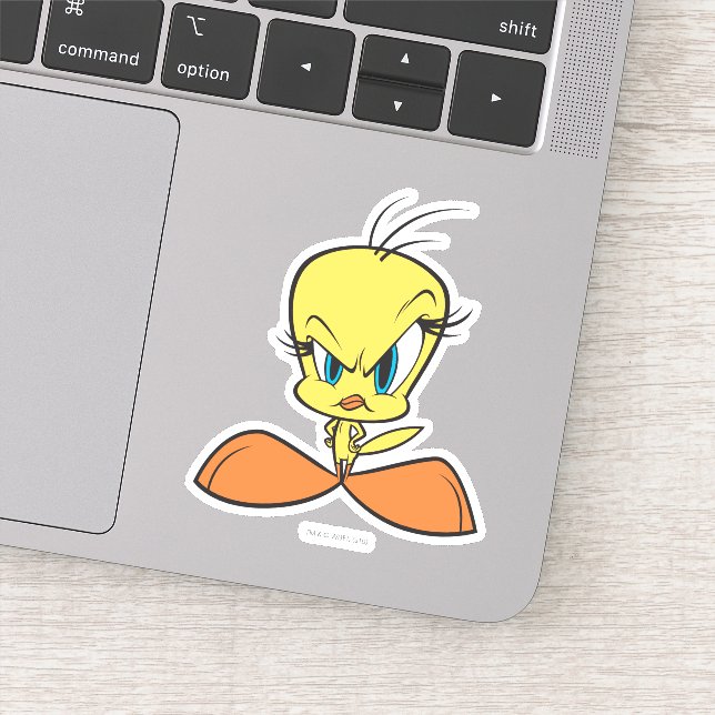 Angry TWEETY™ (Detail)