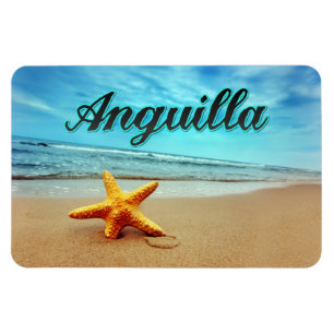 Anguilla starfish magnet