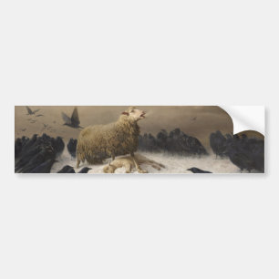 Anguish: Sheep with a Dead Lamb Bumper Sticker