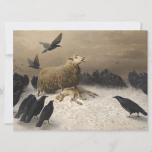 Anguish: Sheep with a Dead Lamb Card