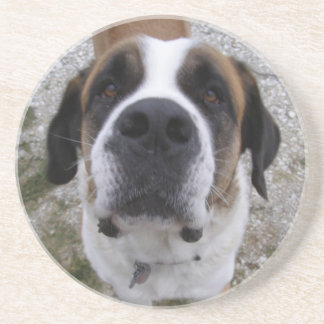 Angus Coaster