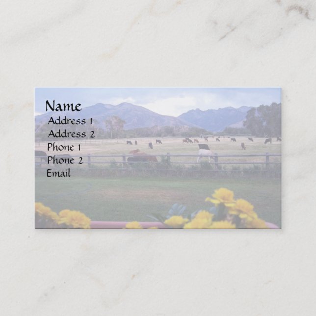 Angus On Pasture Business Card (Front)