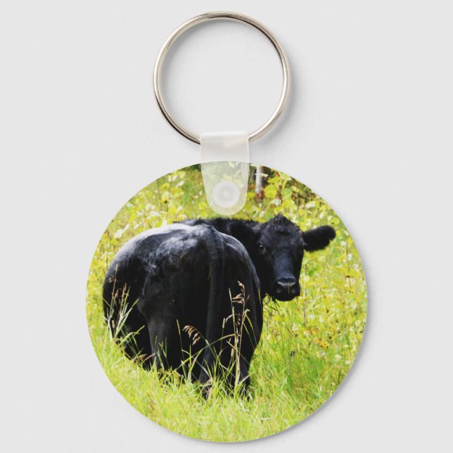 Angus Steer in Tall Yellow Grass Key Ring (Front)