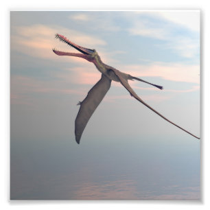 Anhanguera prehistoric bird photo print