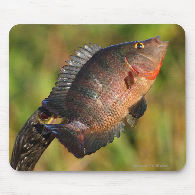 Anhinga and Fish Mouse Mat (Front)