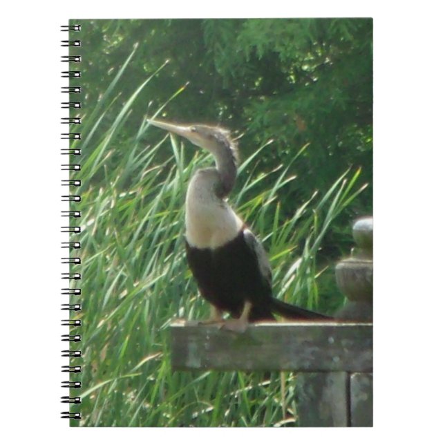 Anhinga Bird Spiral Photo Notebook (Front)