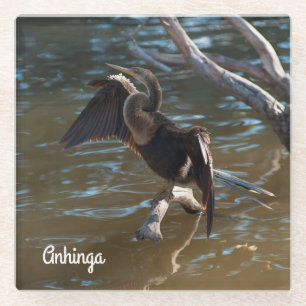 Anhinga Glass Coaster