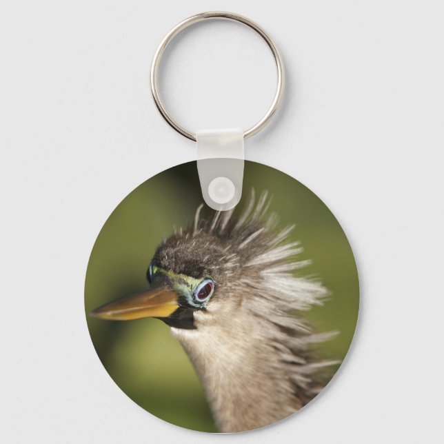 Anhinga Key Ring (Front)