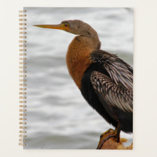 Anhinga On The Lookout Planner