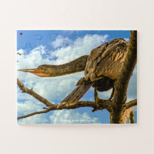 Anhinga Snake Bird Florida Jigsaw Puzzle