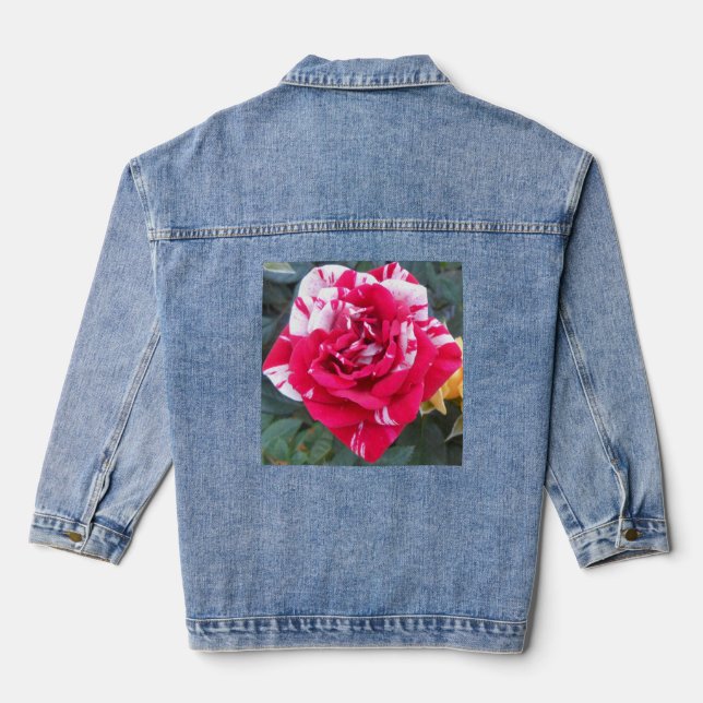 Anicia Denim Jacket (Back)
