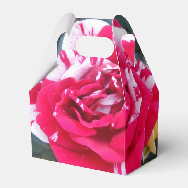 Anicia Favour Box (Front Side)