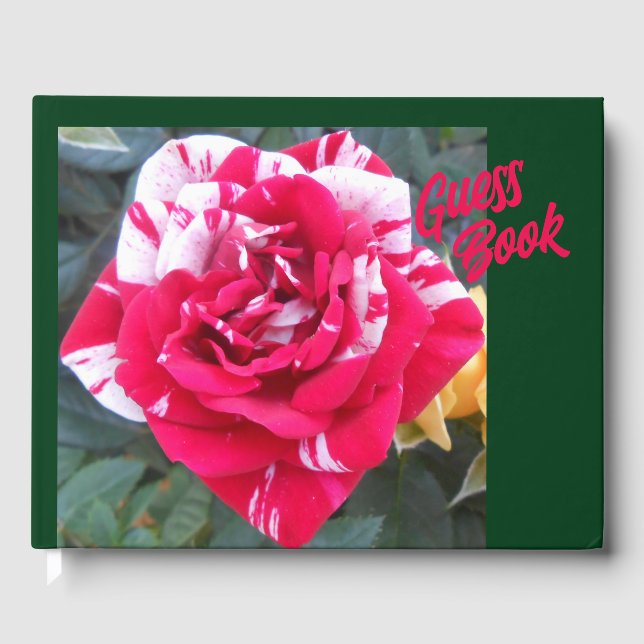 Anicia Guest Book (Front)