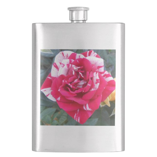 Anicia Hip Flask (Front)