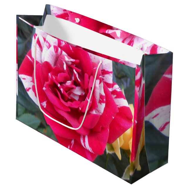 Anicia Large Gift Bag (Front Angled)
