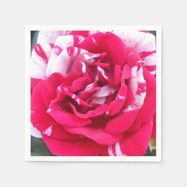 Anicia Napkin (Front)