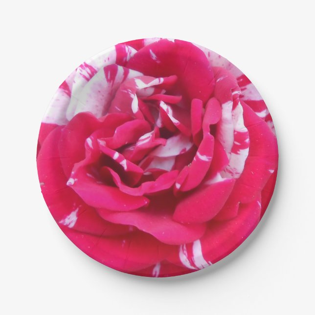 Anicia Paper Plate (Front)