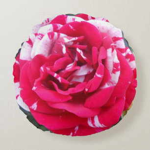 Anicia Round Cushion