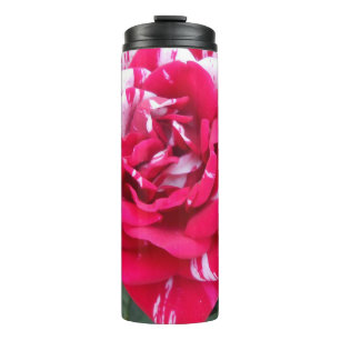 Anicia Thermal Tumbler