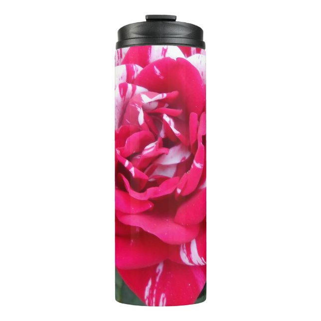 Anicia Thermal Tumbler (Front)