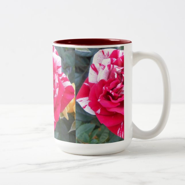 Anicia Two-Tone Coffee Mug (Right)