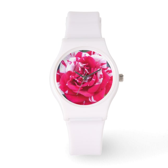 Anicia Watch (Front)