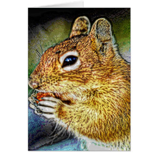 Animal43