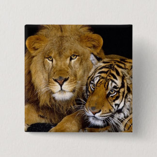 AnImAl 15 Cm Square Badge