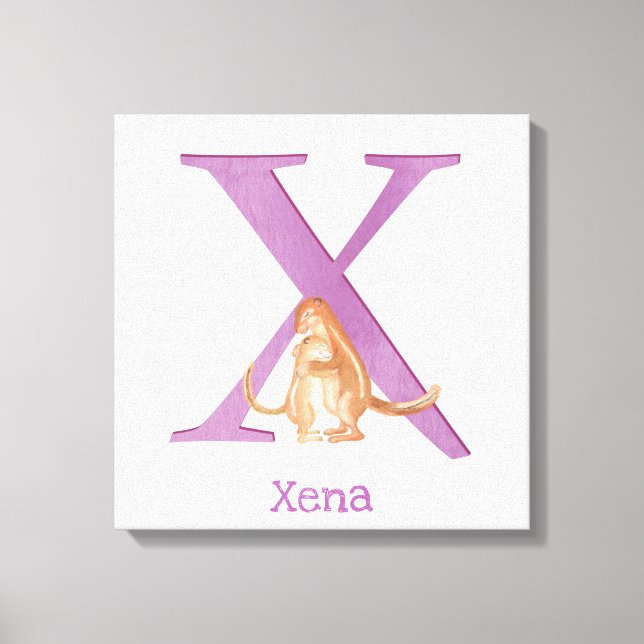 Animal ABC X is for xerus canvas print (Front)