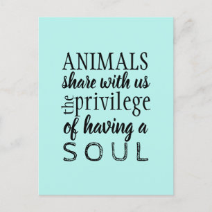 Animal advocate welfare postcard