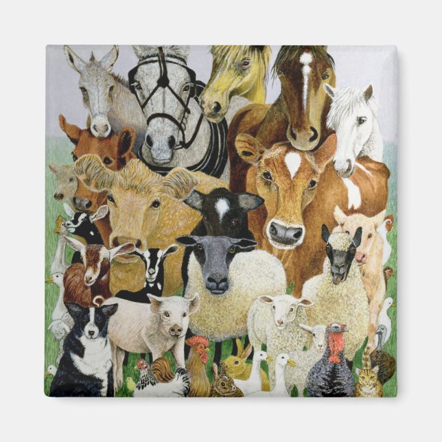 Animal Allsorts Magnet (Front)