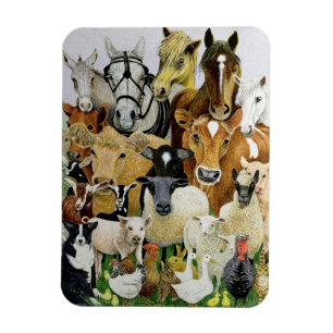 Animal Allsorts Magnet