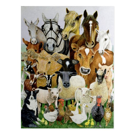 Image of Animal Allsorts Postcard