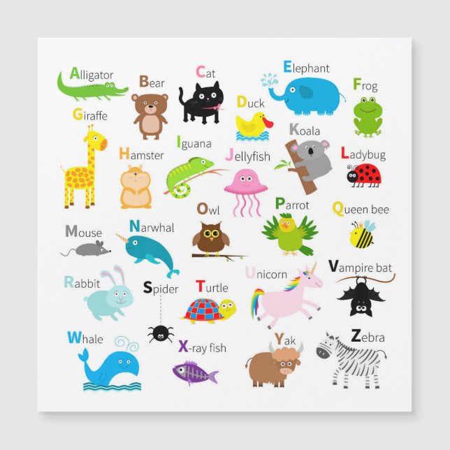Animal Alphabet (Front)