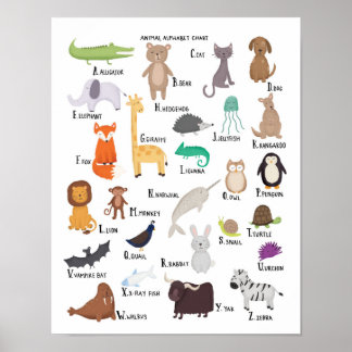 Alphabet Posters | Zazzle.co.uk