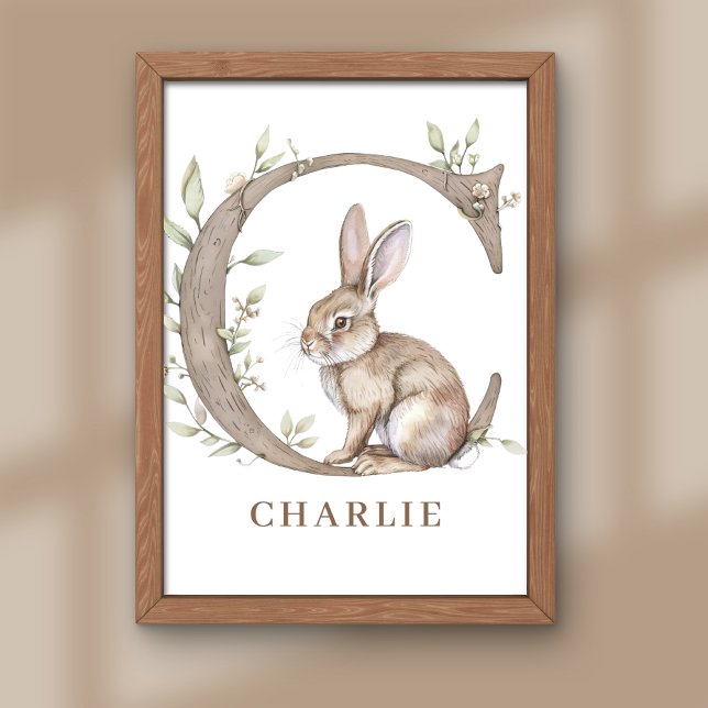 Animal Alphabet Letter C Kids Name Bunny Poster (Creator Uploaded)