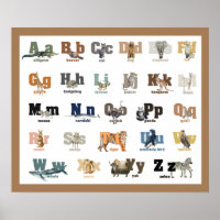 Animal Alphabet Nursery and Kid's 24 x 20