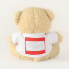 Animal Alphabet Placemat