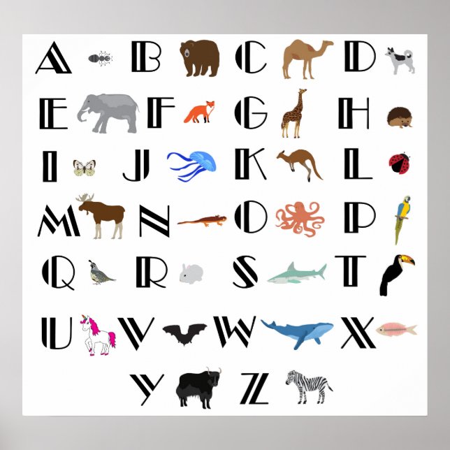 Animal Alphabet Poster. Poster (Front)