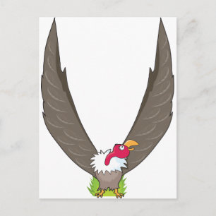 Animal Alphabet Vulture Postcard