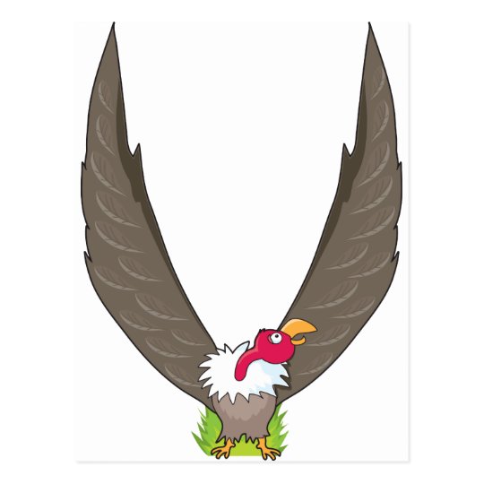 Animal Alphabet Vulture Postcard