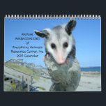 Animal Ambassadors 2011 Wall Calendar<br><div class="desc">The Animal Ambassadors of Everything Animals Resource Centre,  Inc. 2011 Calendar is feast for the eyes - and an animal-lovers delight. The Animal Ambassadors include mammals,  birds,  amphibians,  reptiles,  and arachnids! Proceeds benefit this nonprofit,  funding the Ambassadors' needs.</div>