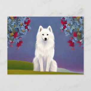 Animal American Eskimo Postcard