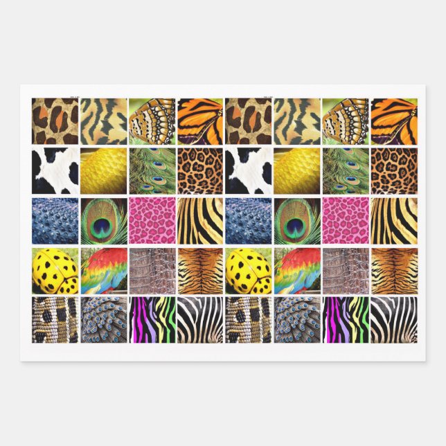 Animal and Insect Skin Wing wildlife patterns Wrapping Paper Sheet (Front)