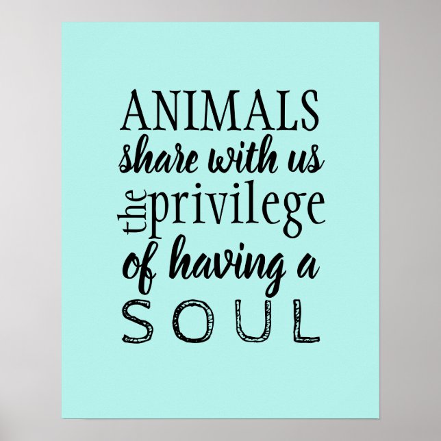 Animal appreciation poster (Front)